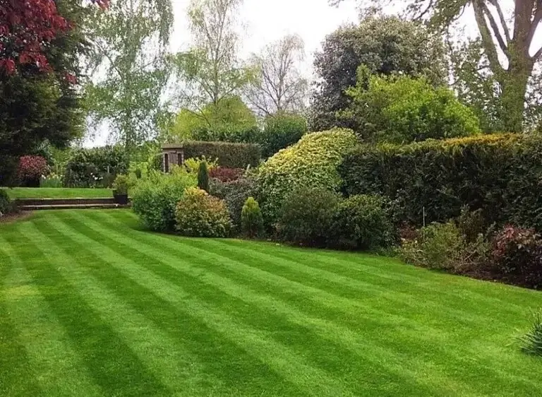 Beautiful Lawns