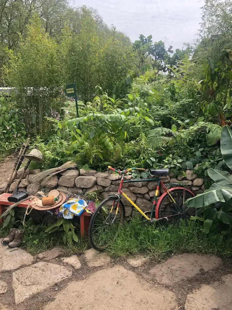 Think Again About Weeds at RHS Chelsea Flower Show 2023