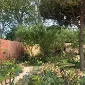 Full Garden Design