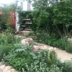 Show Garden at RHS Chelsea Flower Show 2023