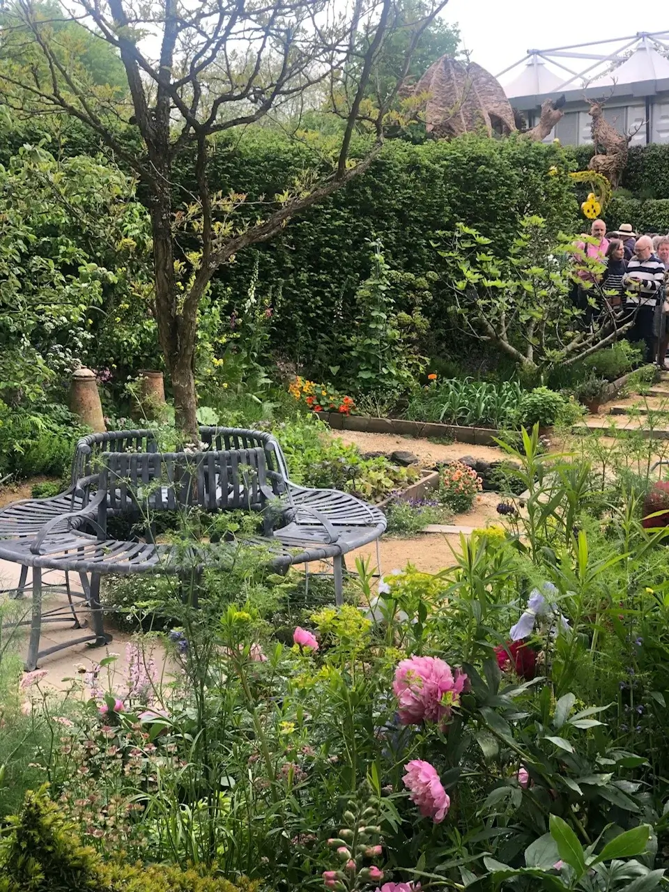 Tree Seating Area