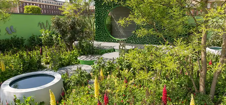 Contemporary Garden