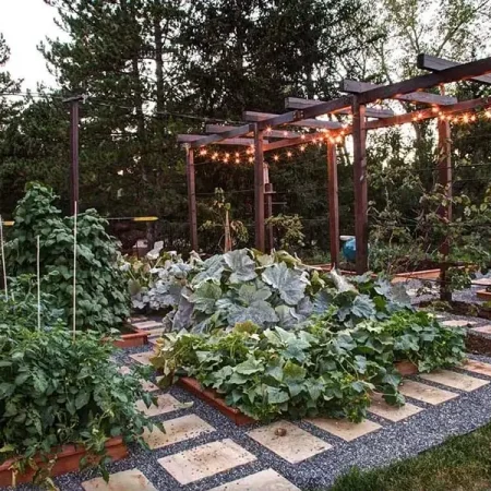 Kitchen Garden Design